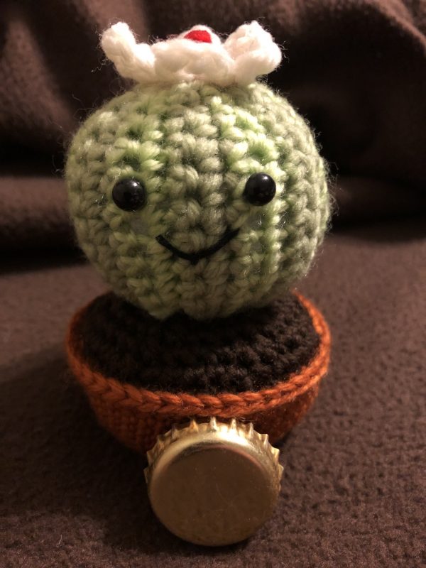 Ball Cactus - size comparison with bottle cap